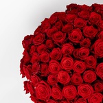 Вouquet of 101 roses by Mary Mee