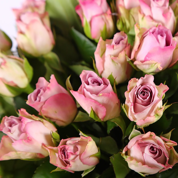 Bouquet of 51 roses Memory Lane