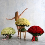 Set of bouquets of 1501 roses