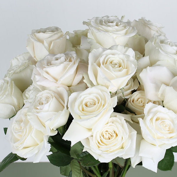 Bouquet of 35 varietal white rose