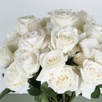 Bouquet of 35 varietal white rose