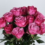 Bouquet of 15 roses Country Blues