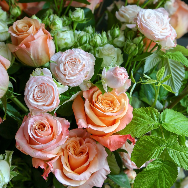 The "Pink Waltz" interior arrangement