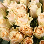 Bouquet of 51 roses Sharman