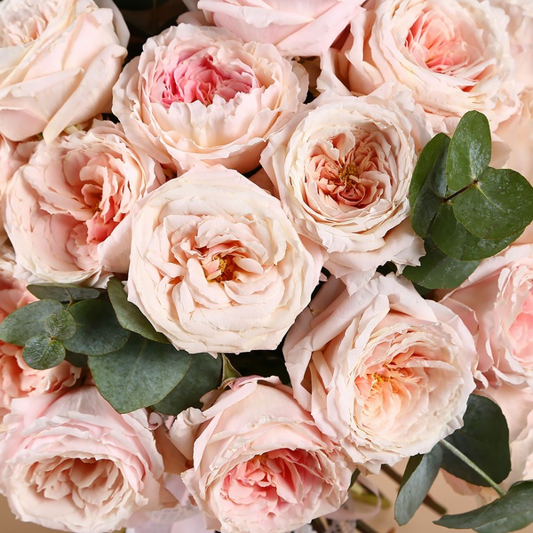 Bouquet of 35 roses David Austin