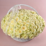201 white roses in a basket