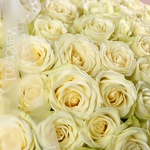 201 white roses in a basket