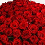 Bouquet of 201 red roses Marry Me