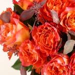 Bouquet of 35 roses Free Spirit