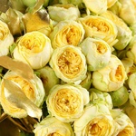 Bouquet of 35 yellow roses Peony Bubbles