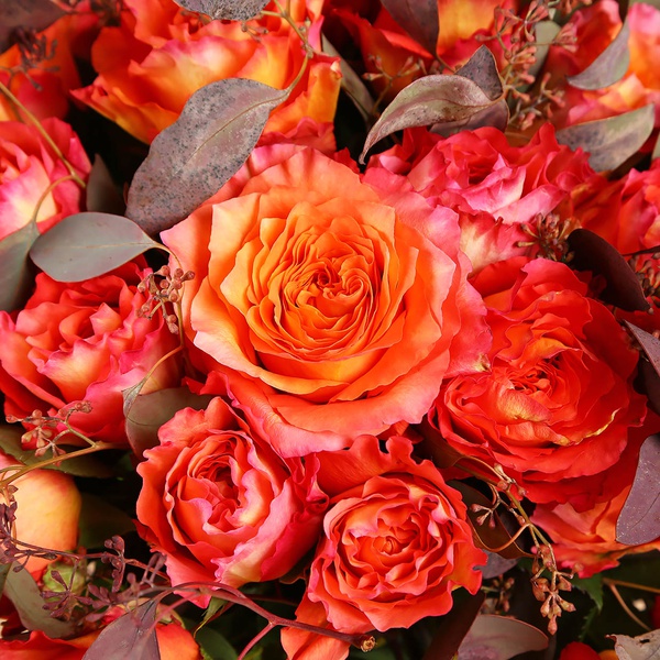Bouquet of 51 roses Free Spirit