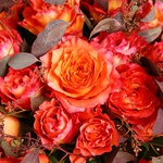Bouquet of 51 roses Free Spirit