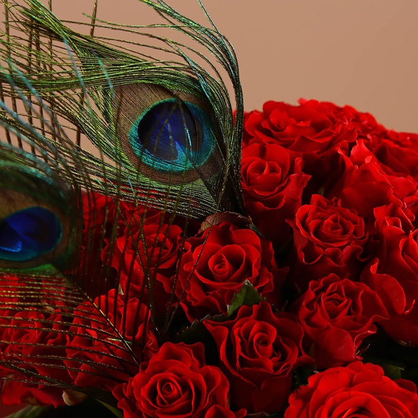 Bouquet of 51 red roses and feathers