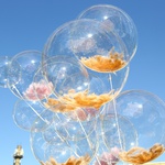 A bundle of Bubbles balloons "Bubbles of Happiness"