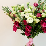 Bouquet of eustoma pink-green