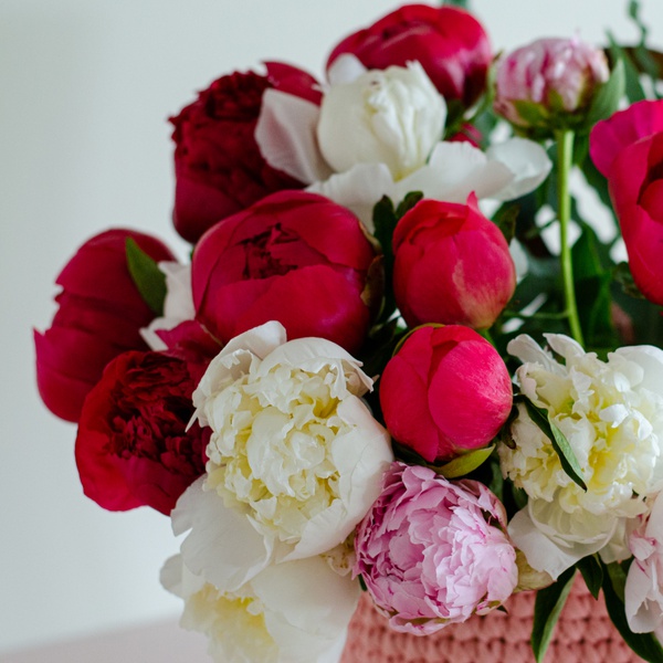 Gift set of peonies mix and strawberries in a bag