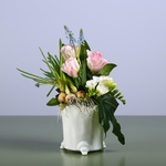 Composition in pots with muscarias