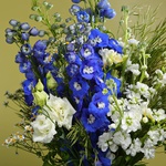 Bouquet "Marrakesh" with delphinium