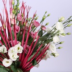 Bouquet of 15 eustomas