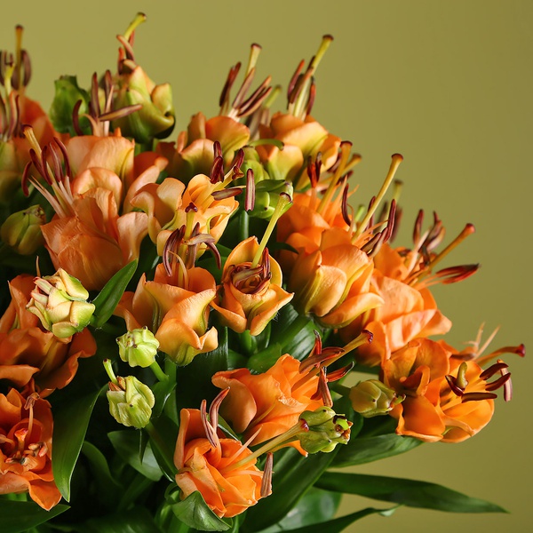 Bouquet of 15 lilies