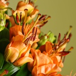 Bouquet of 15 lilies