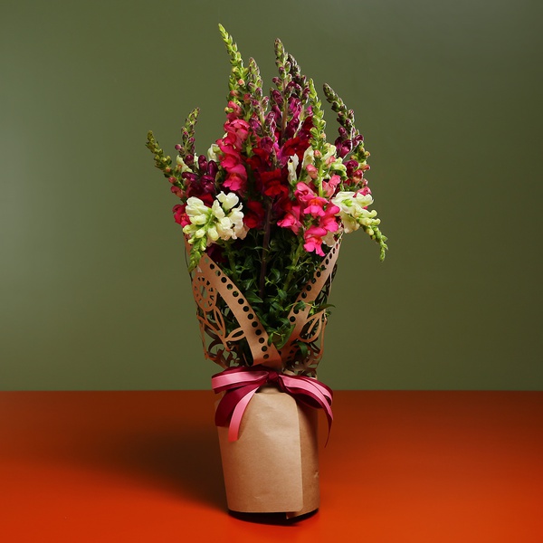 Bouquet of antirrinums