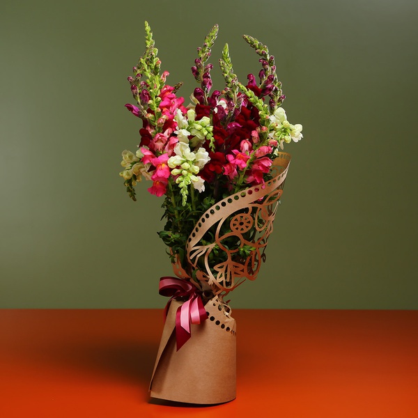 Bouquet of antirrinums