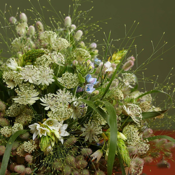 Field bouquet with astrantia