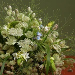 Field bouquet with astrantia