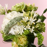 Вouquet «Botanist»