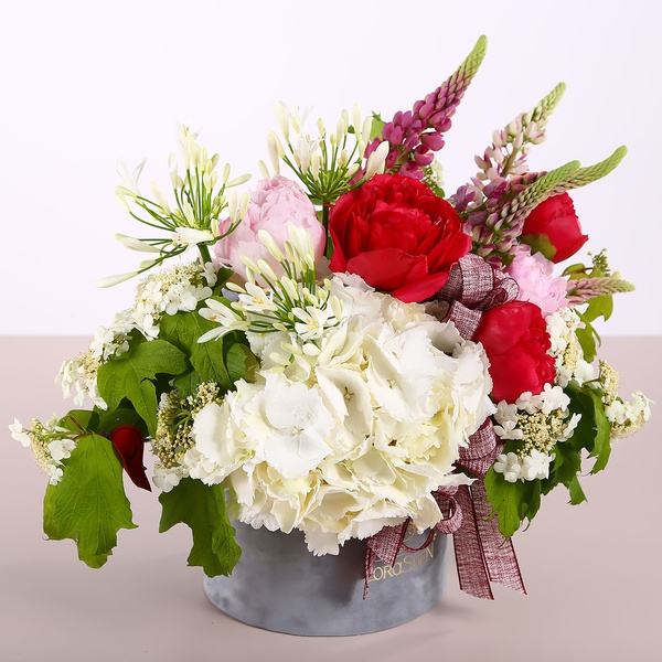 Summer composition with white hydrangea