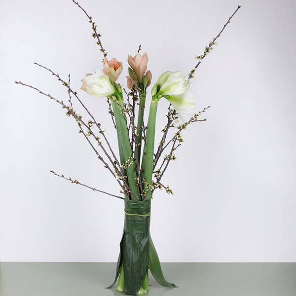 Bouquet of 5 amaryllis "Spring Awakening"