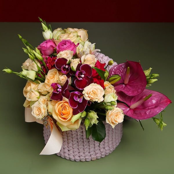 Composition "Marrakesh" lilac