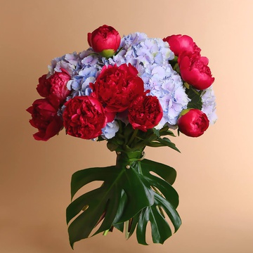 Bouquet of hydrangeas and peonies