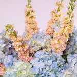 Букет «Azure Couture»
