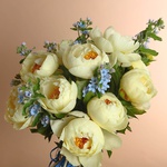 Bouquet of 15 yellow peonies