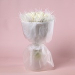 “Breath of Light: 25 White Tulips”
