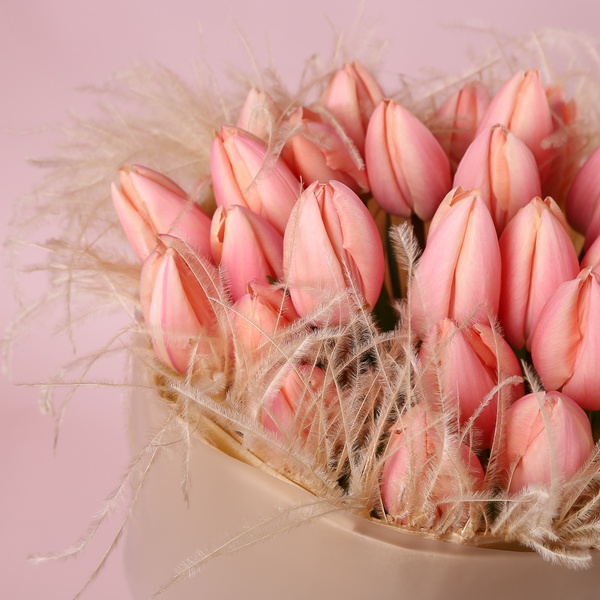 “Salmon Veil: 25 Tulips”