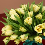 Bouquet of 51 lemon tulips
