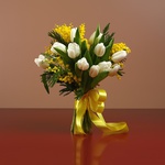 Bouquet of 15 white tulips and mimosa