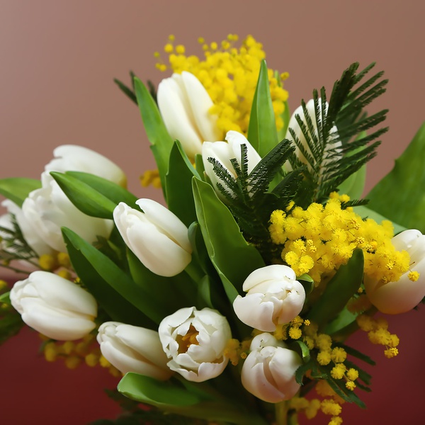 Bouquet of 15 white tulips and mimosa