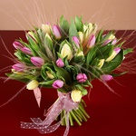 Bouquet of 51 delicate tulips and stiffs