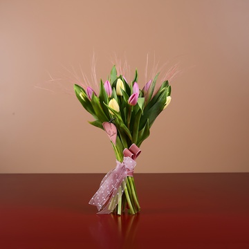 Bouquet of 15 delicate tulips and stiffs