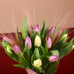Bouquet of 15 delicate tulips and stiffs