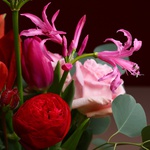 Bouquet in raspberry tones