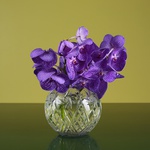 Crystal ball vase