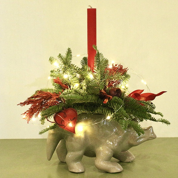 Triceratops "Magic of Red"