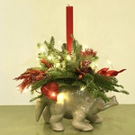 Triceratops "Magic of Red"