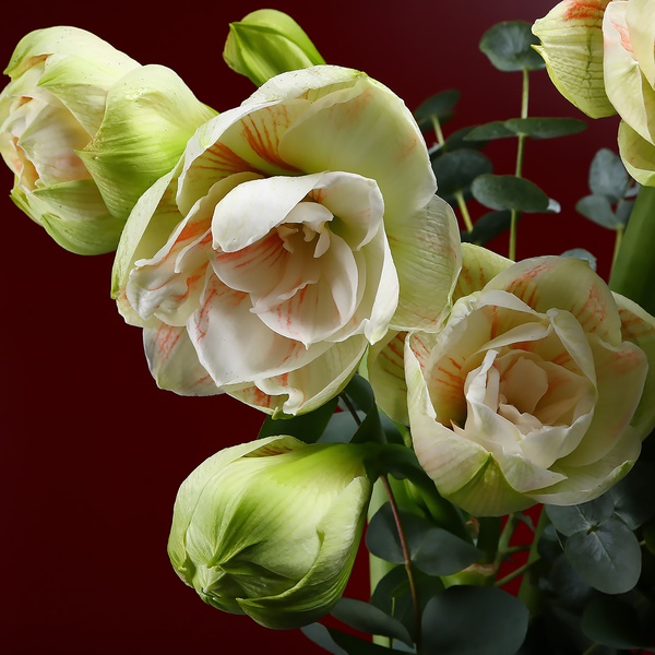 Bouquet of 3 amaryllis nymphs