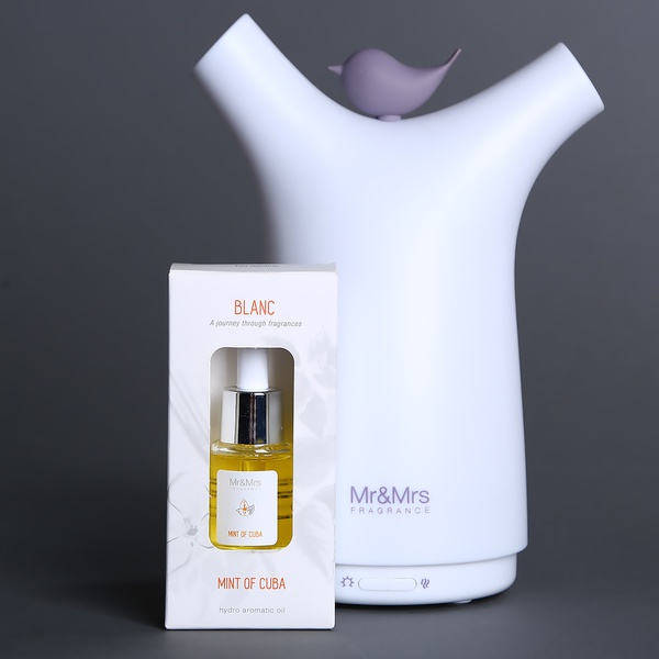Гідро аромамасло Mr&Mrs Fragrance Mint Of Cuba